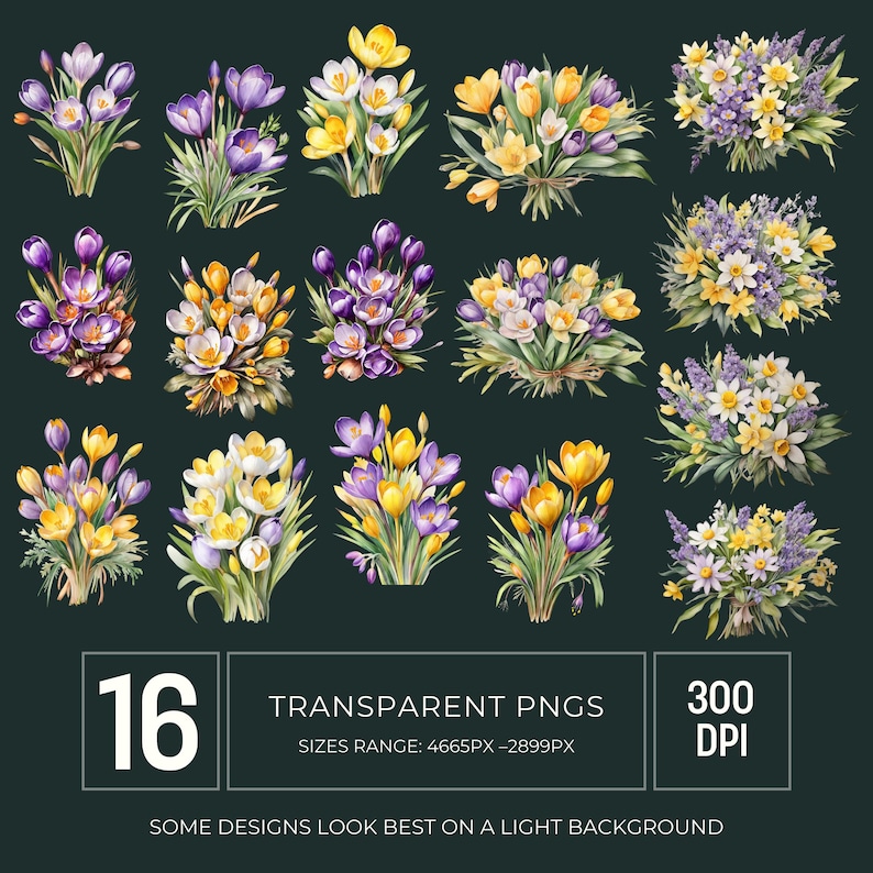 Crocus and Daffodil Spring Bouquet Watercolor Clipart PNG, Bright Floral Graphics for Scrapbooking and Cardmaking image 4