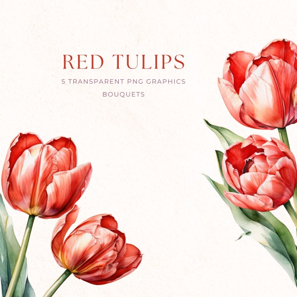 Clipart tulipes printemps, aquarelle florale, fleur rouge Clip Art, téléchargement immédiat, tulipe PNG, TUL007