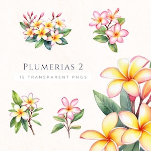 Plumeria Frangipani Flower Clipart, set grafico di fiori tropicali, download immediato, rami floreali, clipart hawaiana, artigianato di carta, FRA002