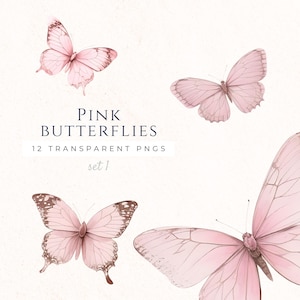 Clipart de borboleta rosa, lindas borboletas em aquarela, imagens de scrapbooking de primavera, clipart PNG, amante de insetos, BUF005