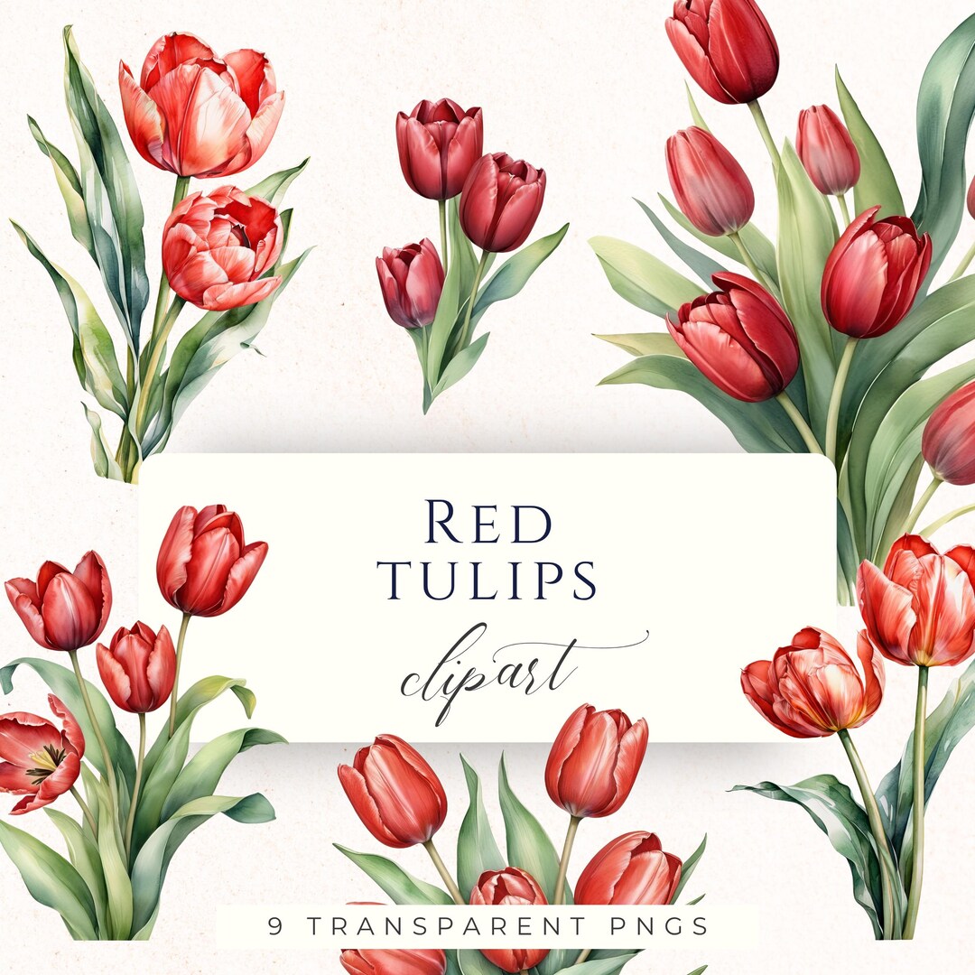 Red Spring Tulip Watercolor Clipart PNG, Floral Graphics for ...