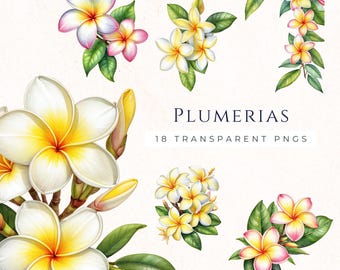 Tropical Plumeria Frangipani Clipart Pack, Hawaiian Flower Graphics, Instant Download, Card Decoration, Invite Art