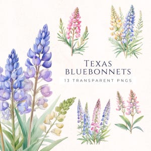 Texas Bluebonnets Watercolor Clipart, Lupine Flowers Art, State Flower Illustration, Floral Card Decor, Scrapbooking