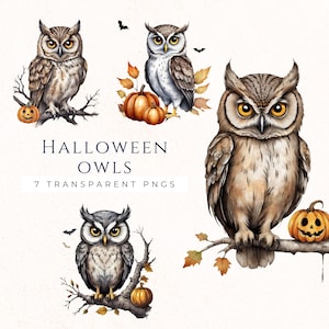 Halloween Owl Clipart PNG, Spooky Graphics for Scrapbooking, Cardmaking Supplies, Birthday Party Decor, Trick or Treat Invitation