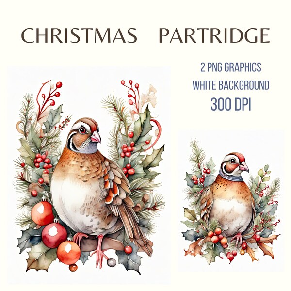 Christmas Partridge Print, White Background Clipart PNG, Holiday Artwork, Digital Download