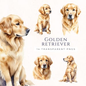 Golden Retriever Clipart, Dog Lover Watercolor Clipart, Download instantâneo, Paper Crafting, Gráficos de scrapbook, Amante de animais, DO011