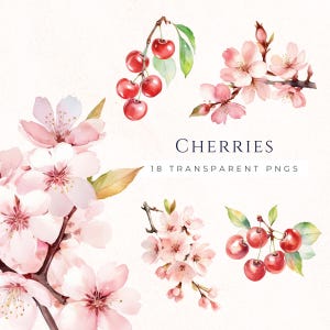 Illustraties kersenbloesem, roze bloemen takken, Sakura clipart PNG, lentebloemen, digitale scrapbooking, kaarten maken supply, BRA007