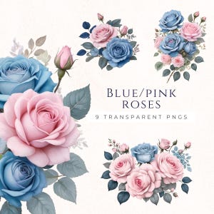 Weiches blau rosa Rose Clipart, Aquarell Strauß PNG, Babyshower einladen, Geschlecht offenbaren, Rosen Blumenkunst, staubblau
