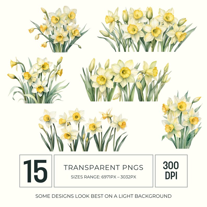 Daffodil Watercolor Clipart PNG, Spring Easter Flower Graphics for ...
