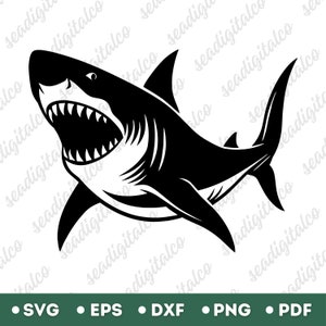 Shark Svg, Shark Silhouette, Shark Clipart, Fish Svg, Shark Svg Files for Silhouette, Files for Cricut, Vector Design, PNG & DXF