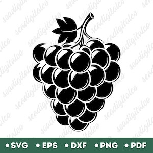 Grapes Silhouette SVG  for Cricut, Wine Fruit Clipart SVG, Grape Bunch Cut File for Crafts and DIY Projects