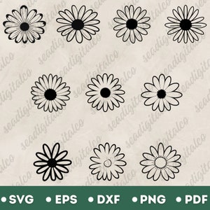 Daisy svg, Daisy Svg Bundle, Flower Svg, Floral SVG, Daisy Flower Clipart, Daisy Flower Svg files for Cricut, Vector Cut File, Dxf Flower