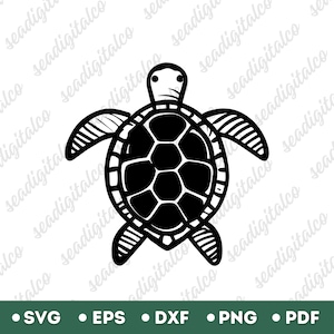 Turtle Svg, Sea Turtle Svg, Turtle SVG Files For Cricut, Sea Animal Svg, Ocean Animal Svg, Gift for Animal Lovers, Laser Svg, DXF & PNG