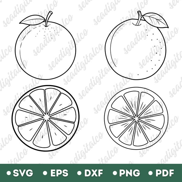 4 Orange SVG Bundle, Orange Slice Outline SVG, Fruit Drawing, Summer Fruit Clipart, Fruit Illustration, Cut File for Cricut, Vector Images