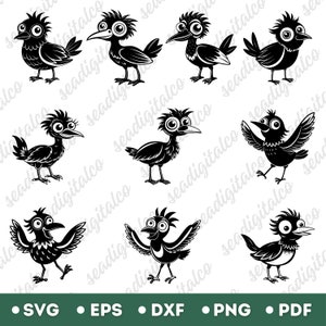 Paquete SVG de pájaros de dibujos animados, silueta de pájaro divertida, pájaro negro adorable en formato SVG, archivos vectoriales de animales de granja para diseños de camisetas, archivos SVG para Cricut, DXF
