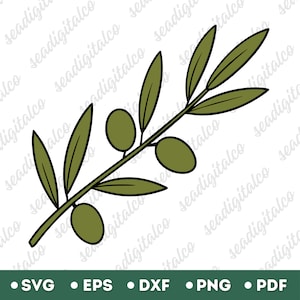 Rama de olivo Svg, Oliva Svg, Silueta de olivo, Clip Art de olivo, Botánico Svg, Aceituna verde, Archivo Svg para Cricut, Archivo de corte Silhouette