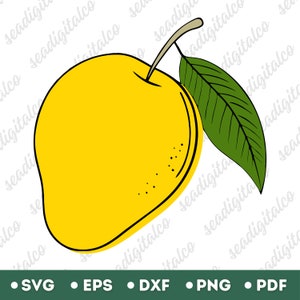 Mango SVG, Fruit Svg, Vector Mango Clipart, Yellow Mango Svg, Tropical Fruit Svg, Hand Drawn Fruit, Summer Svg Files, Svg Files for Cricut