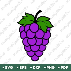 Grapes Svg, Grape Vine Svg, Purple Grape Cluster Svg, Fruits Svg, Wine Grape Svg, Summer Svg, Cricut Cut Files, Vector Illustration, DXF PNG