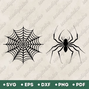 Spider Web SVG, Spider SVG, Cobweb Cricut, Spider Silhouette, Spider SVG Vector, Spider Web Cut Files, Scary Spider Svg, Digital Download