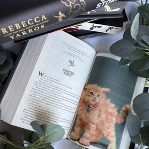 Puede incluir: Un libro de tapa dura titulado Onyx Storm de Rebecca Yarros con una cubierta negra que presenta siluetas de dragones dorados. El libro está abierto en el capítulo cuarenta, mostrando texto impreso y una imagen de un gatito naranja.