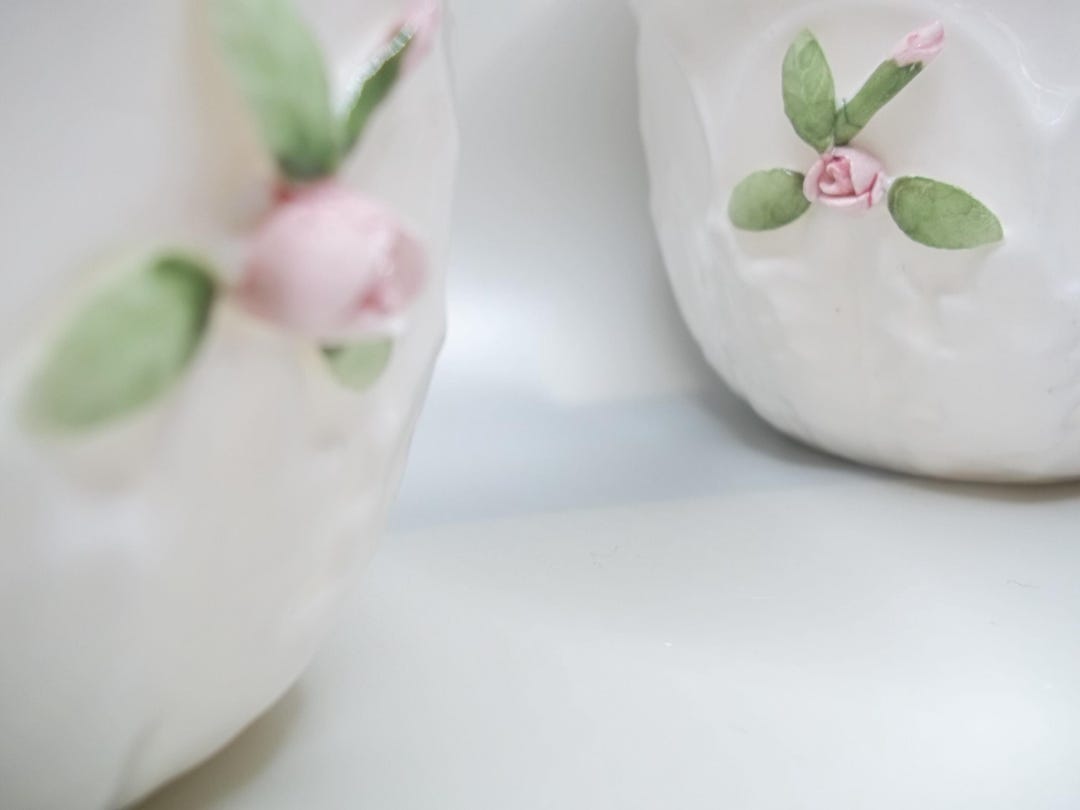 Fine Bone China Planter Set by Bloom Rite – White With Pink Raised ...