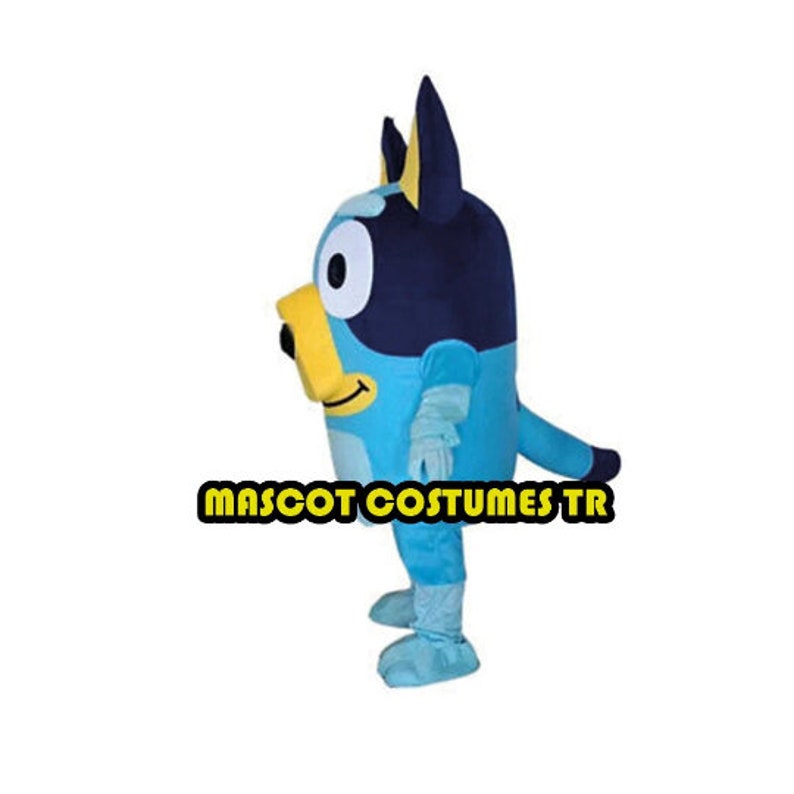 Bluey Mascot Costume, Fancy Dress Halloween Cosplay Birthday Party