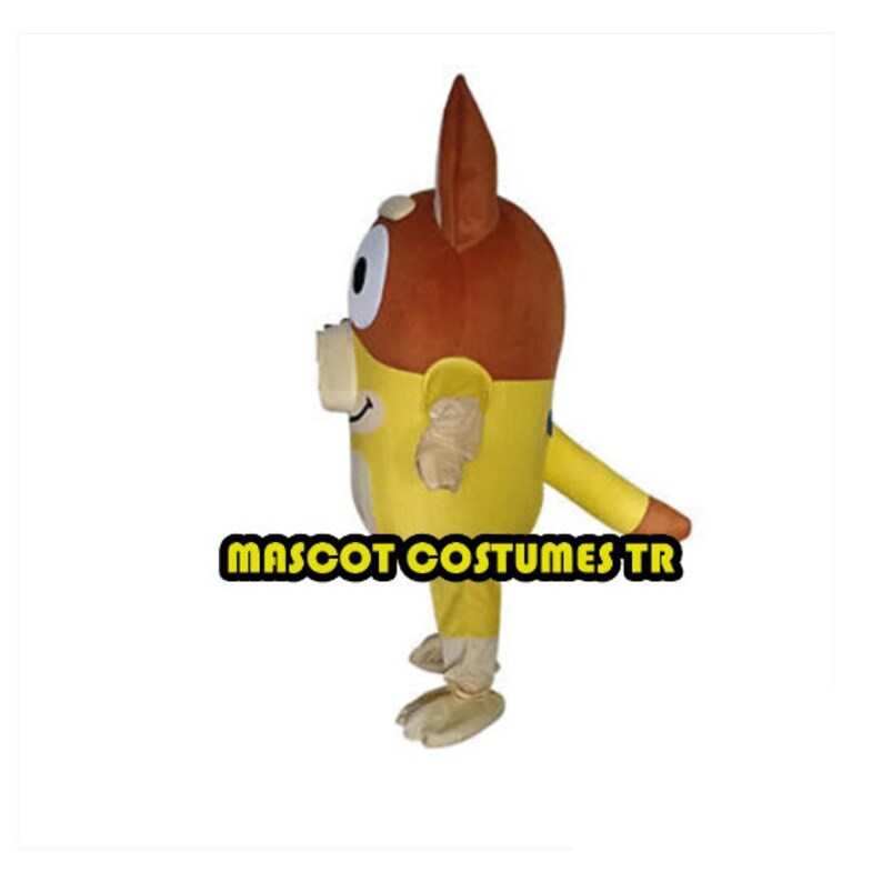 Bluey , Bingo Mascot Costume, Fancy Dress Halloween Cosplay Birthday