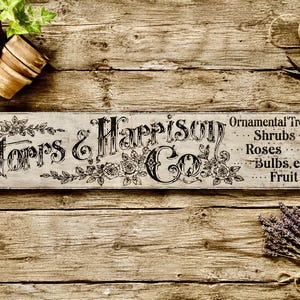 Könnte beinhalten: Ein rechteckiges Holzschild mit abgenutzter weißer Oberfläche und schwarzer Schrift, die Stopps & Harrison Co. lautet, gefolgt von einer Liste mit Ornamental Trees, Shrubs, Roses, Bulbs, etc. und Fruit, verziert mit floralen Illustrationen.