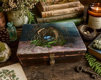 Handmade Altered Wooden Nest Box, Antique Keepsake Box with Hand Painted Robin's Nest Scene, Rustic Nature decor, OOAK Assemblage Art