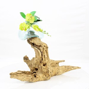 May include: A light blue glass vase with green orchid flowers sits on a weathered brown driftwood stand.
