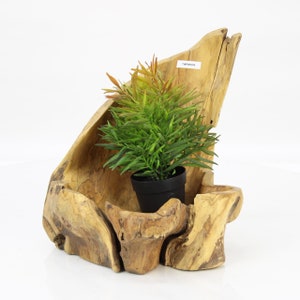 May include: A natural wood planter with a unique, asymmetrical shape. The planter features a small, green plant in a black pot. The planter has a rustic, weathered look and is perfect for adding a touch of nature to any home.