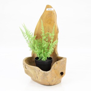 May include: A natural wood planter with a unique shape, resembling a boat, with a small green plant in a black pot. The planter has a rough, textured surface and a hole in the bottom for drainage. The text "TMRP18204" is visible on the planter.