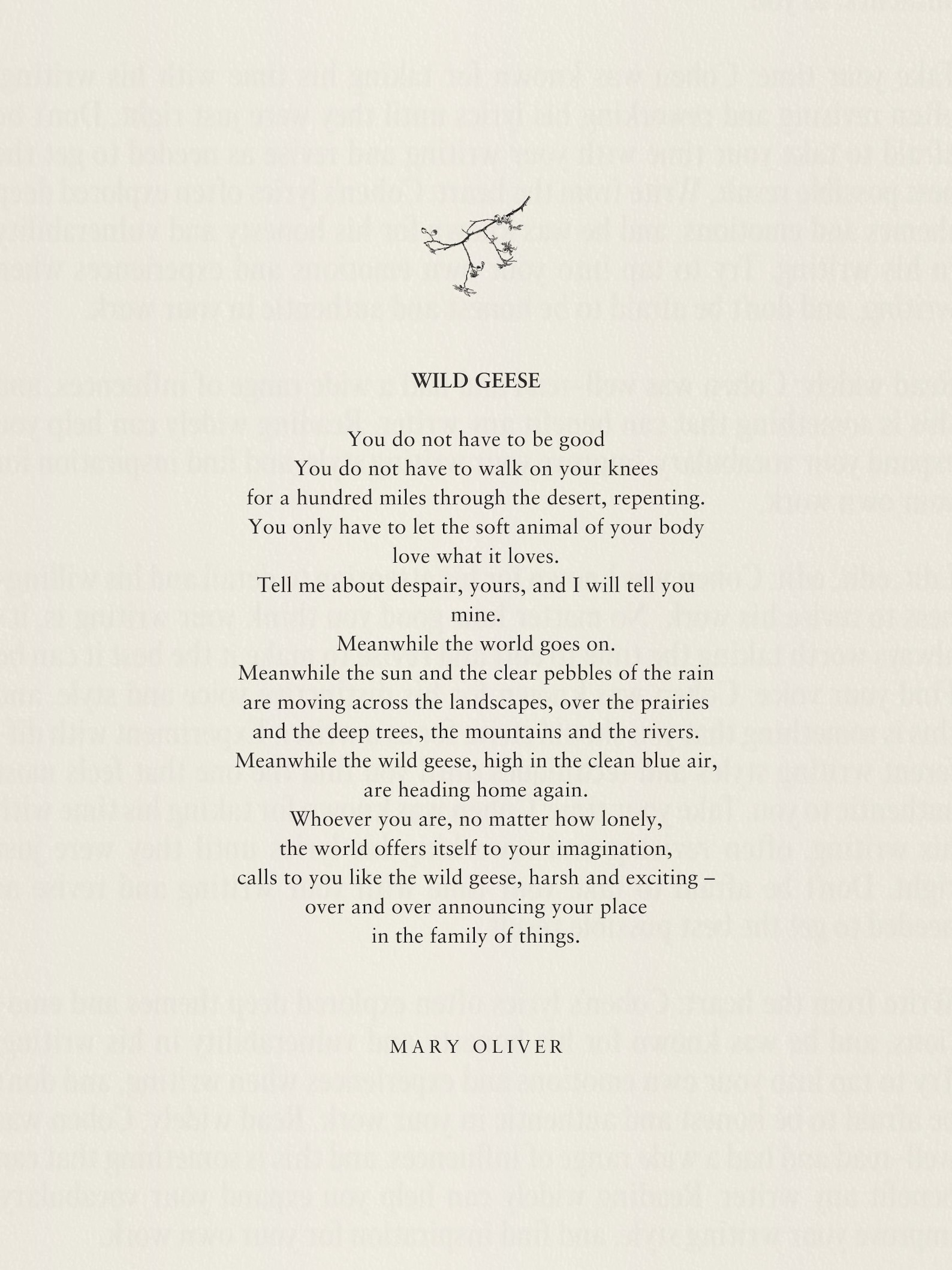 Mary Oliver wild Geese, Poem Prints, Book Quotes, Gift for Writers, Minimalistic Poster for
