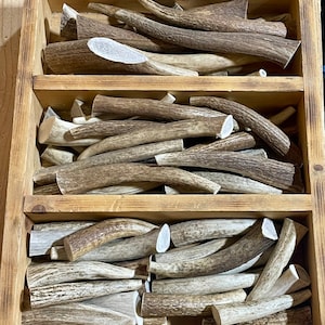 One Pound Whole Elk Antler Dog Chews