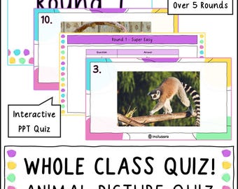 Quiz de imagens de animais, testes de identificação de animais, recursos para professores