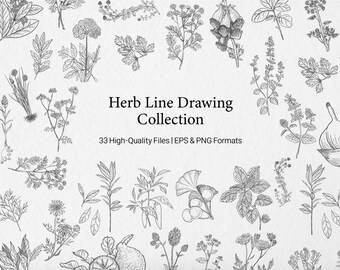 Herb Line Art Bundle | 32 Botanical Illustrations | Minimalist Plant Clipart | EPS & PNG Files