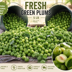 5 lb Fresh Green Plum (Yeşil Erik) – Turkish Greengage Fruit, Janerik Seasonal Sour Plum, Natural Fresh Green Plums – Fast & Free Shipping
