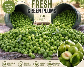 5 lb Fresh Green Plum (Yeşil Erik) – Turkish Greengage Fruit, Janerik Seasonal Sour Plum, Natural Fresh Green Plums – Fast & Free Shipping