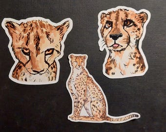 Puede incluir: Tres pegatinas de guepardo con ilustraciones estilo acuarela. Dos pegatinas presentan caras de guepardo, y la tercera muestra un guepardo entero sentado. Los guepardos son de color canela con manchas negras y detalles marrones.