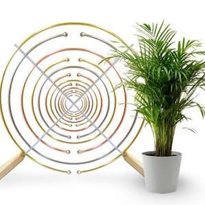 Healing Combination: 1 Multiwave Oscillator Distance Healing Session + Personal healing/reading session