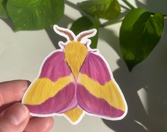Rosy Maple Motte Aufkleber