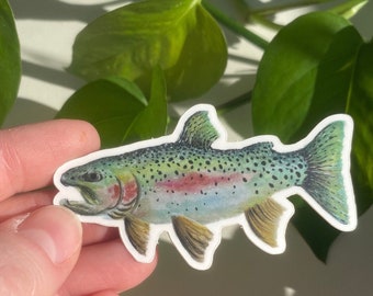 Rainbow Trout Sticker