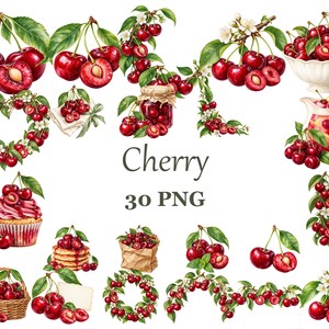 Könnte beinhalten: Eine digitale Sammlung von 30 PNG-Illustrationen mit leuchtend roten Kirschen, Kirschblüten und grünen Blättern. Das Set enthält Kirschen in einer weißen Schale, einem Glaskrug, einem Cupcake, einem geflochtenen Korb, einem Glas Marmelade und einem Kranz.