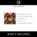 Solar Eclipse Pattern Moon Seamless Celestial Digital Paper Sun and ...