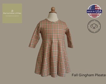 Organic Cotton Toddler Dress in Fall Colors Gingham