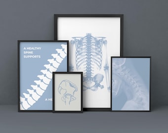 Set di 12 poster da parete per studio chiropratico, decorazioni per clinica di allineamento della colonna vertebrale, poster medici moderni stampabili