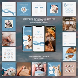 Puede incluir: Una colección digital de plantillas para redes sociales para veterinarios, que incluye tres teléfonos inteligentes con una lista de verificación de mascotas y varios gráficos cuadrados con consejos de cuidado y fotos.