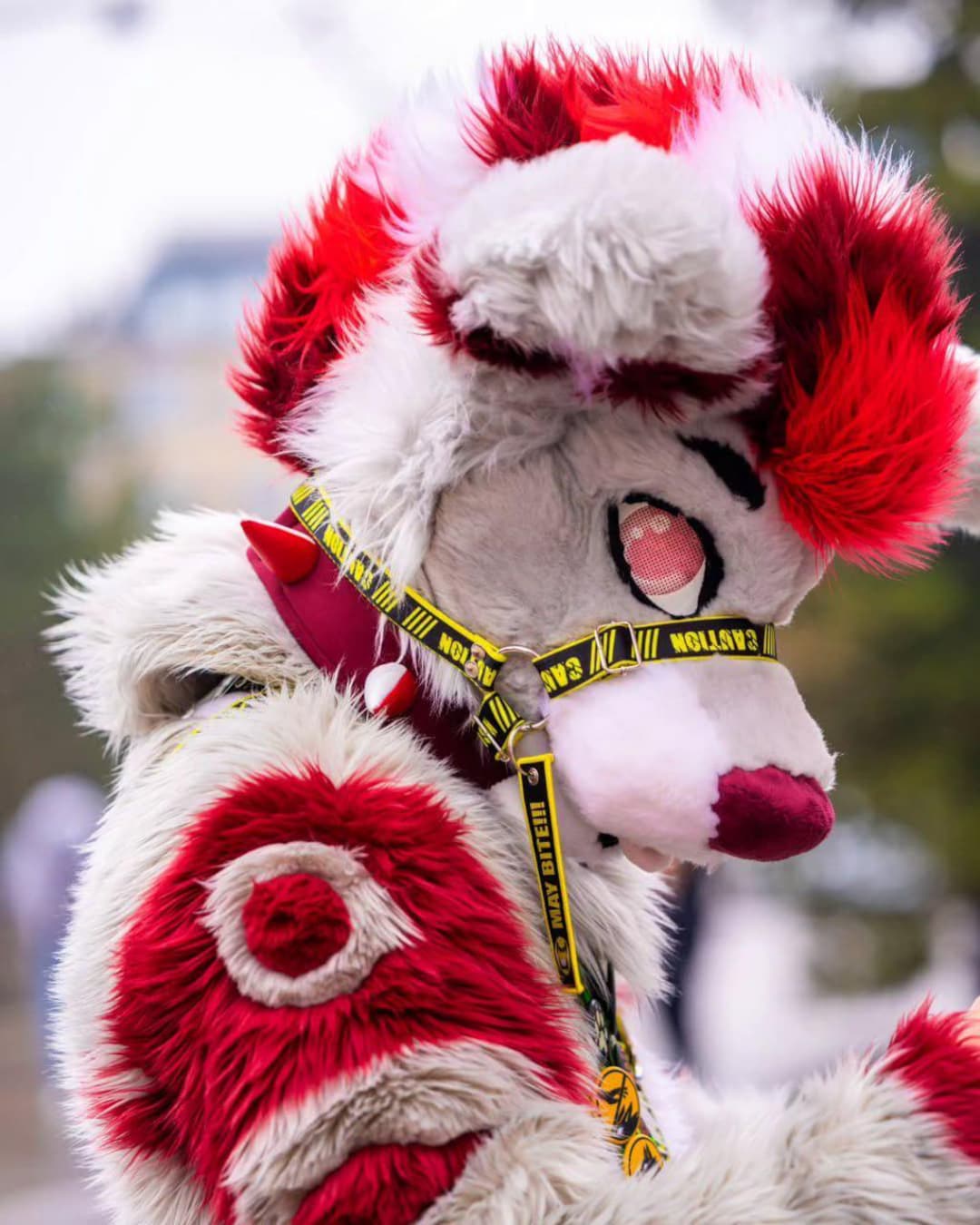 Normal Fursuit Fursuit Harness Muzzle — (ajustable, for Normal Fursuit or Kemono) - Etsy