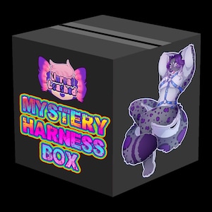 Mystery Fursuit Harness Box