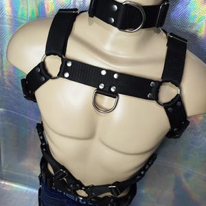 Bulldog Fursuit Harness Full [Non fursuiters to]